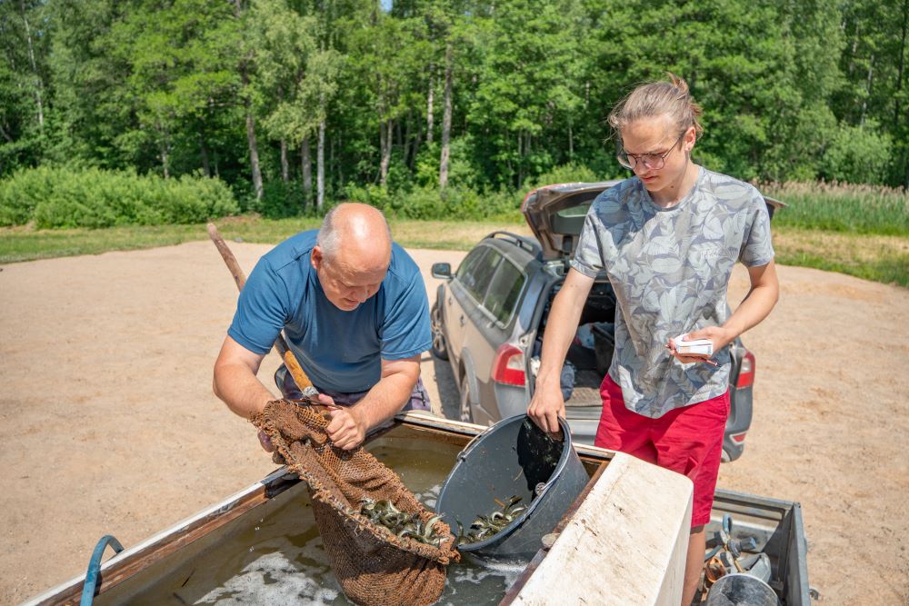 Vairākos Talsu novada ezeros papildināti zivju resursi