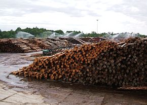 SIA «Vika Wood» padomes locekļa amatu atstājis Dagnis Dreimanis