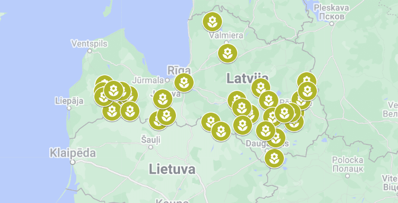 LATRAPS aicina apmeklēt saulespuķu laukus un ziedot Ukrainai