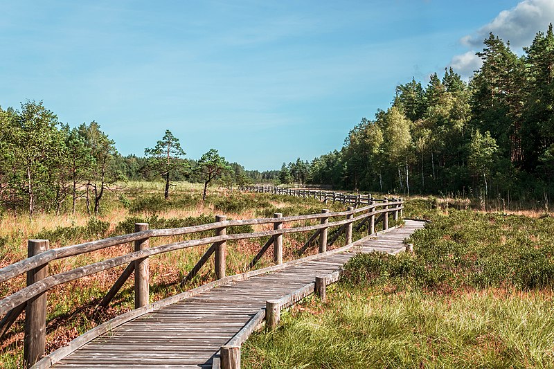 Četriem nacionālajiem parkiem, tostarp Slīterei, piešķirs vairāk nekā astoņus miljonus