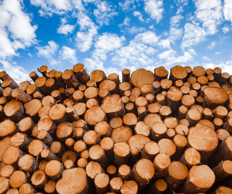Austrijas «HS Timber Group» iegādājas kokapstrādes uzņēmumu «Vika Wood»