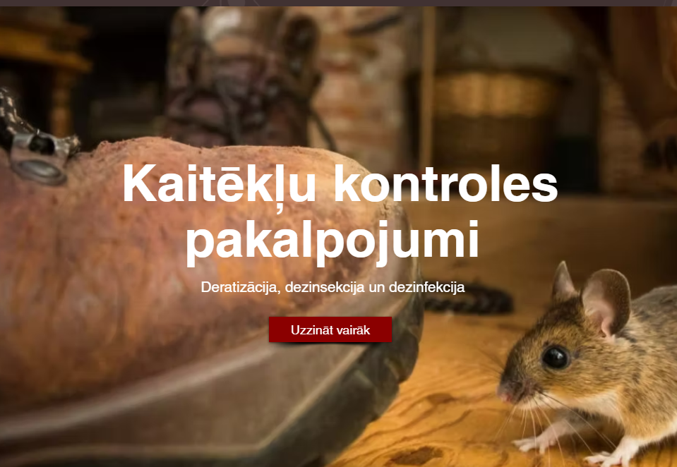 Kā izvēlēties drošu un efektīvu dezinsekcijas pakalpojuma sniedzēju?