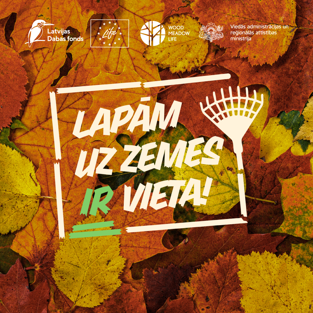 lapām uz zemes ir vieta