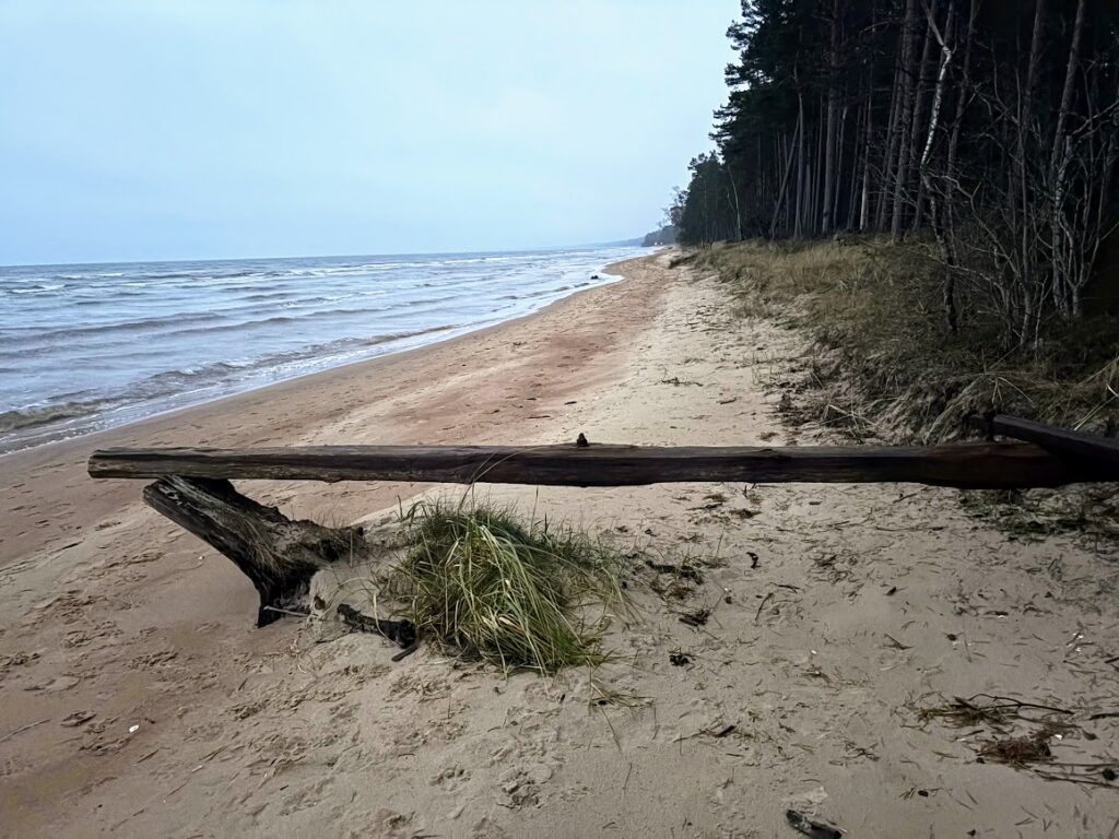 Zvejnieku biedrība: «Lieciet mierā pēdējos piekrastes zvejniekus!»