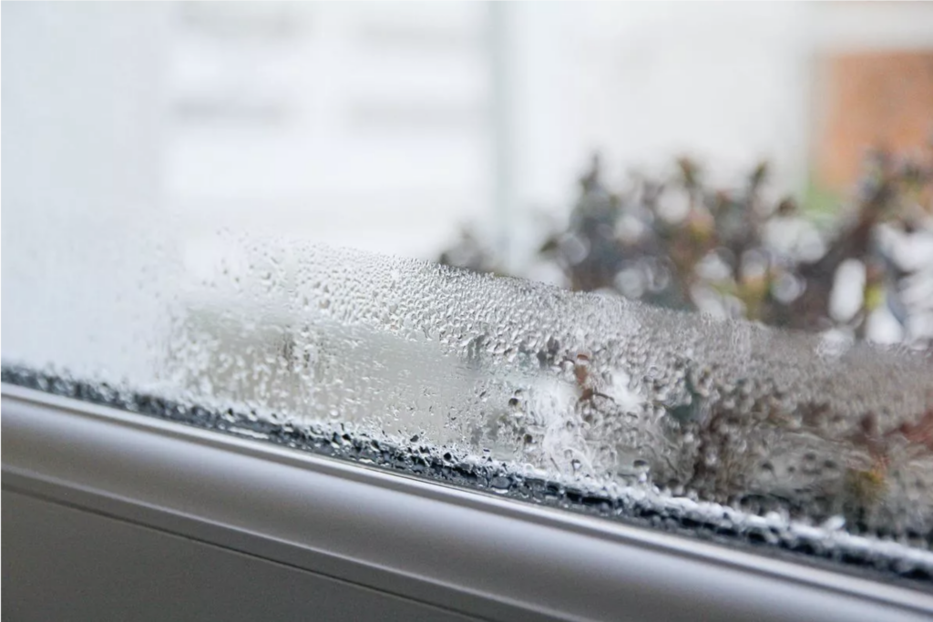 Kāpēc ziemā «svīst» logi un ko tas patiesībā signalizē par mājokli?